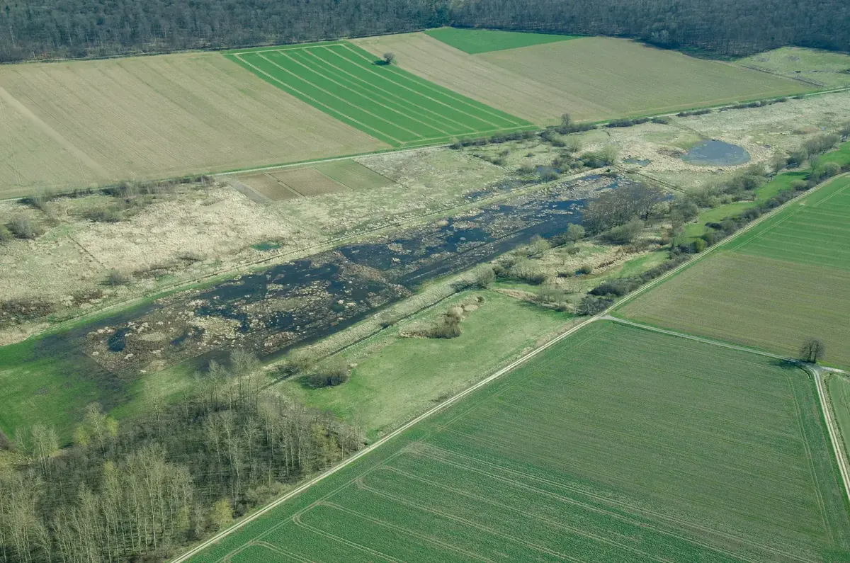 Luftaufnahme des Feuchtbiotops Hallertal