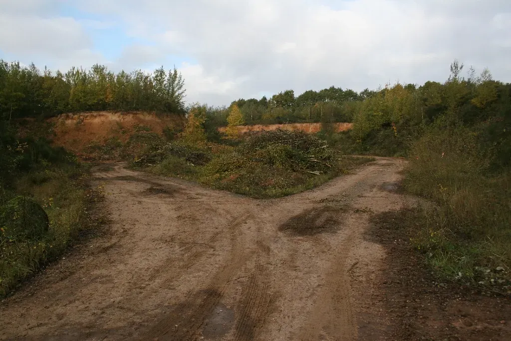 Streuobstlandschaft bei Bornheim