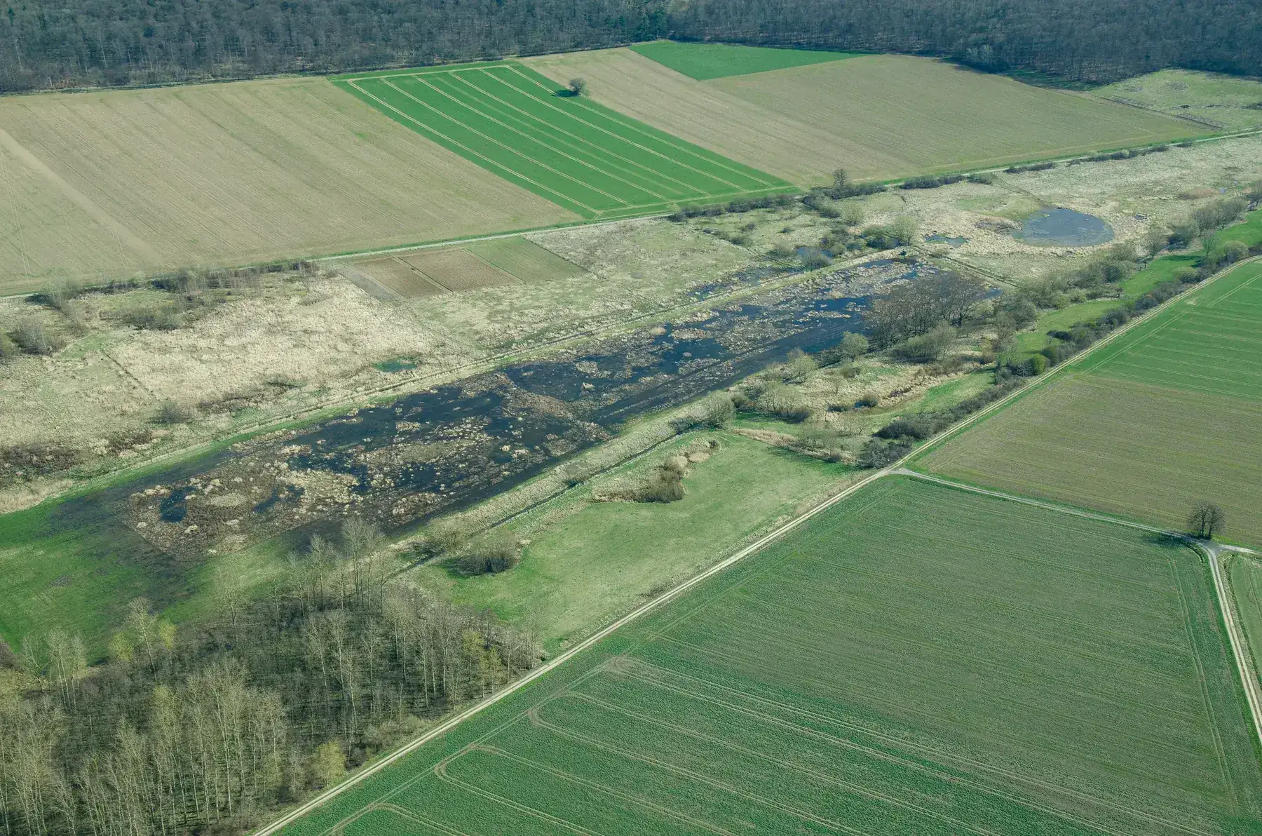 Luftaufnahme des Hallertals