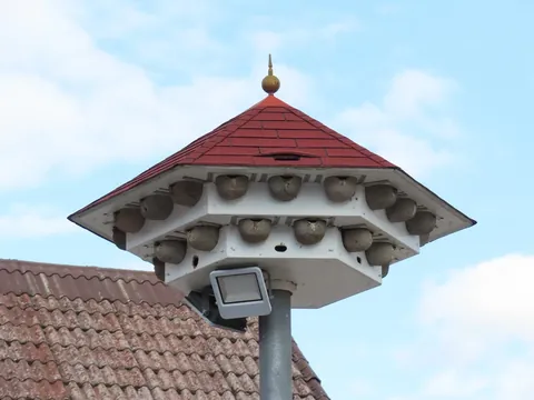 Schwalbenhaus mit Kunstnestern
