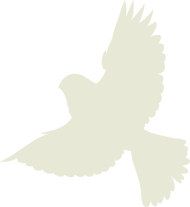 Beige bird illustration