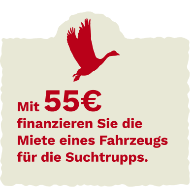 Bird group illustration