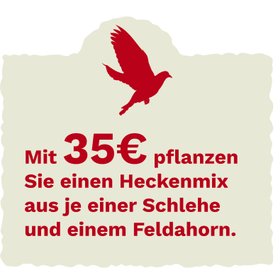 Bird group illustration