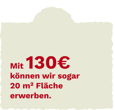 Bird group illustration