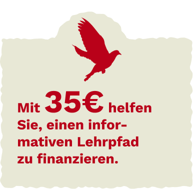 Bird group illustration