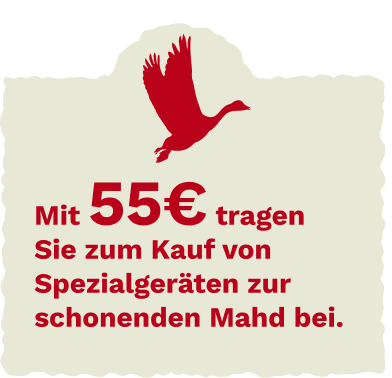 Bird group illustration