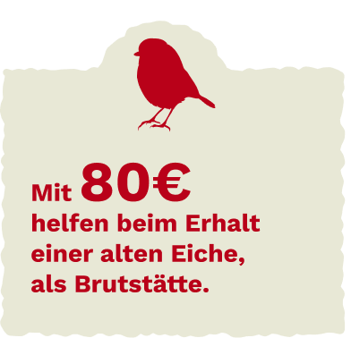 Bird group illustration