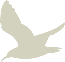 Beige bird illustration