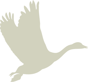 Beige bird illustration