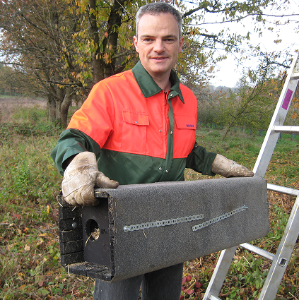 Das Rebhuhn ist Vogel des Jahres 2026