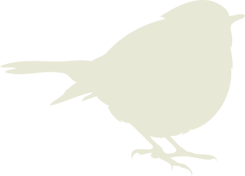 Beige bird illustration