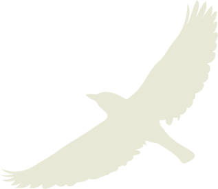 Beige bird illustration